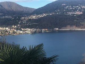 Vendita Villa Ticino a Montagnola (Svizzera)